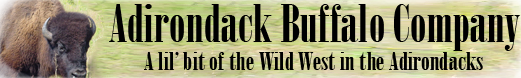 Adirondack Buffalo Company of North Hudson, click for homepage Adirondack Buffalo Company of North Hudson